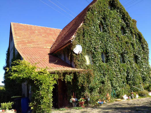 — VERKAUFT — Künstlerhaus am Waldrand – Schwarzwald