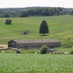 — VERKAUFT —  Pferdehof für Tierliebhaber
