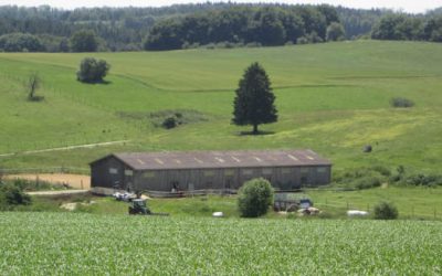 — VERKAUFT —  Pferdehof für Tierliebhaber