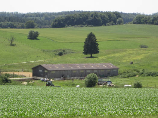 — VERKAUFT —  Pferdehof für Tierliebhaber