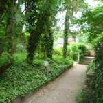 — VERMIETET — TÜ/West – gleich in der Natur – 1-Zi.-Whg. mit Terrasse u. kleinem Garten. Schwimmbad im Haus!