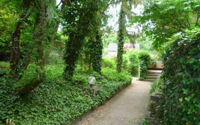 — VERMIETET — TÜ/West – gleich in der Natur – 1-Zi.-Whg. mit Terrasse u. kleinem Garten. Schwimmbad im Haus!