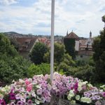 — VERMIETET — Klein aber fein, 1 Zi Whg mit Blick über die Dächer von Rottenburg!