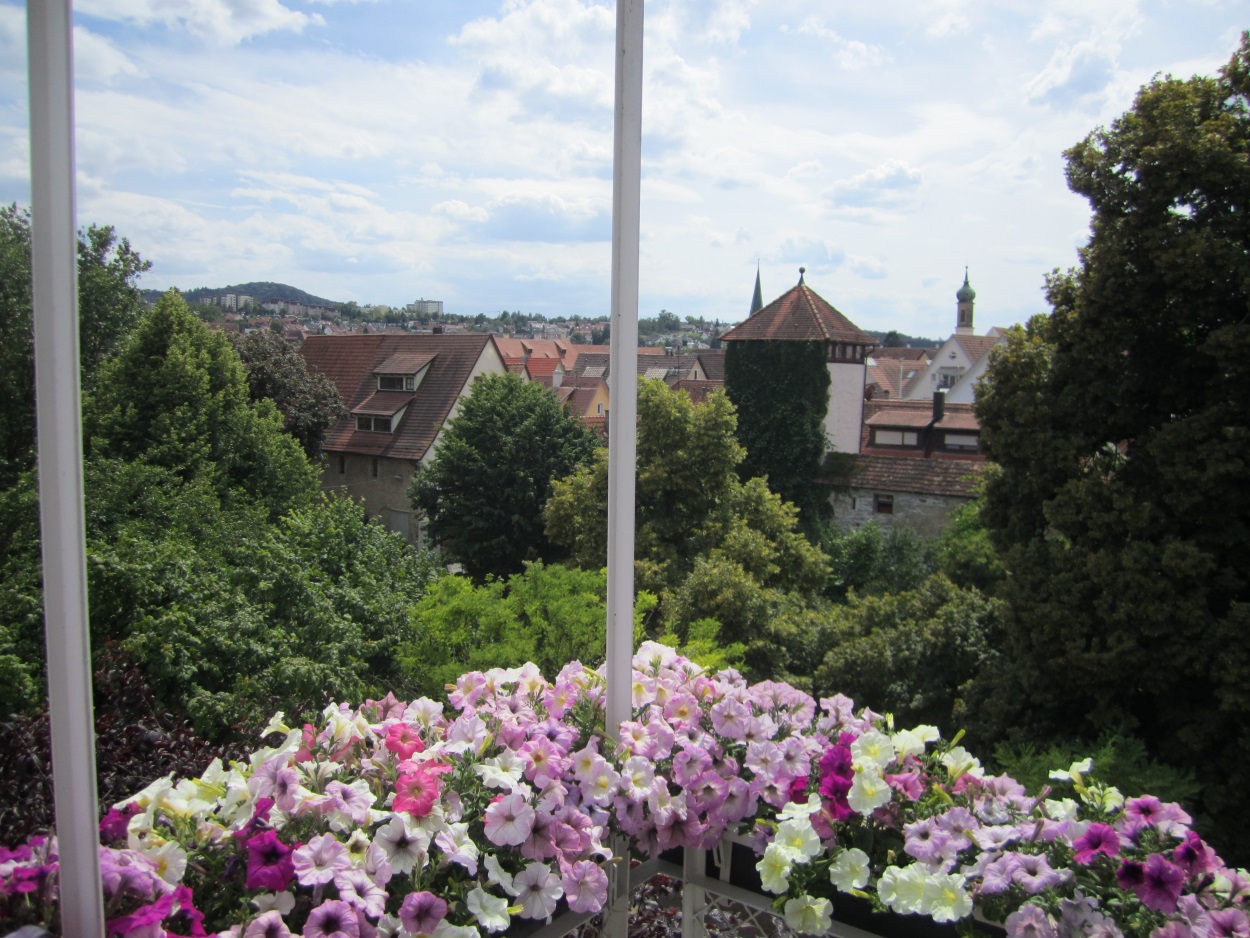 — VERMIETET — Klein aber fein, 1 Zi Whg mit Blick über die Dächer von Rottenburg!