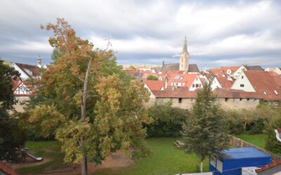 Klein aber fein! Schicke 1-Zi.-DG-Whg. mit Blick über die Dächer von Rottenburg